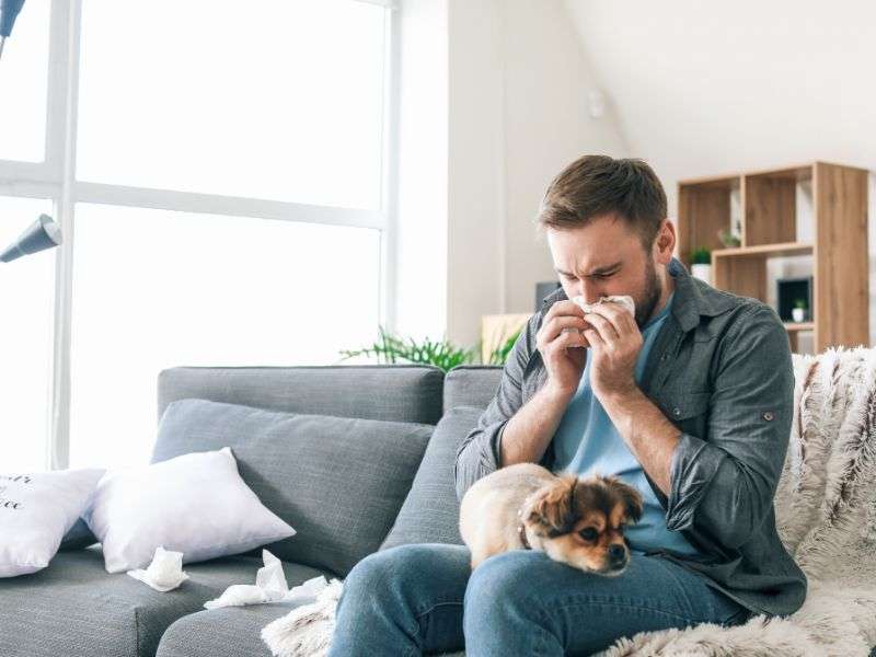Allergy Management