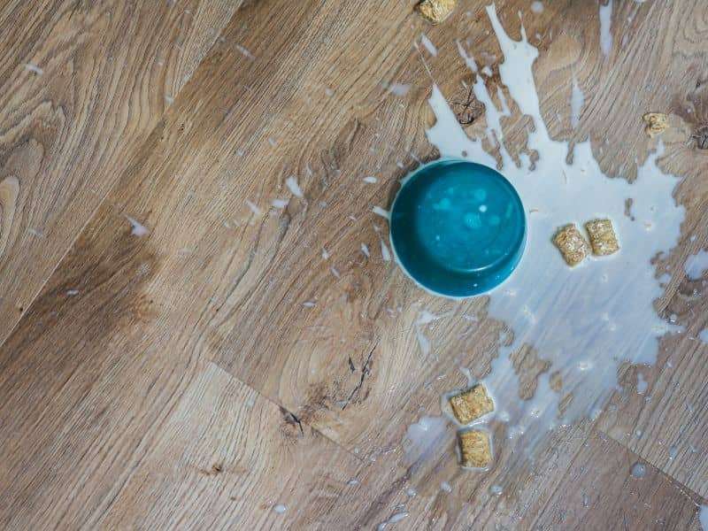 Dealing with Spills Promptly min