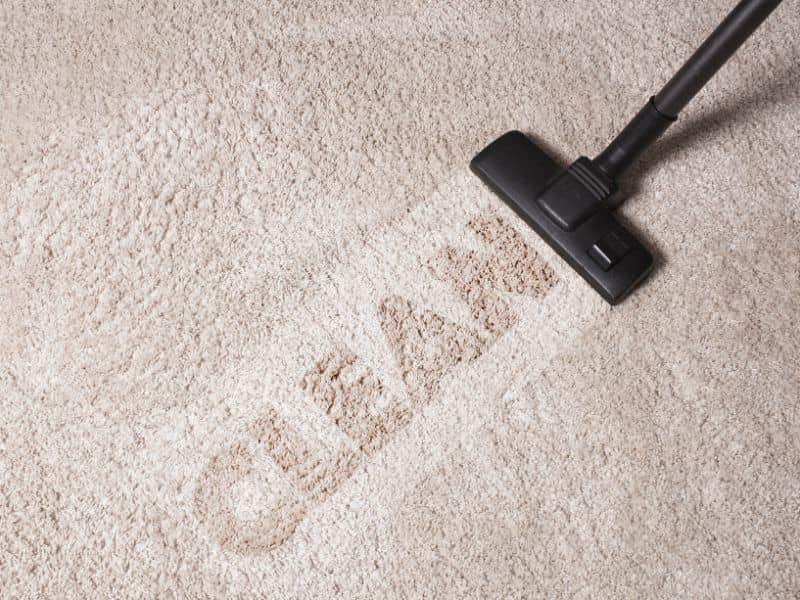 Maintaining a Clean Carpet