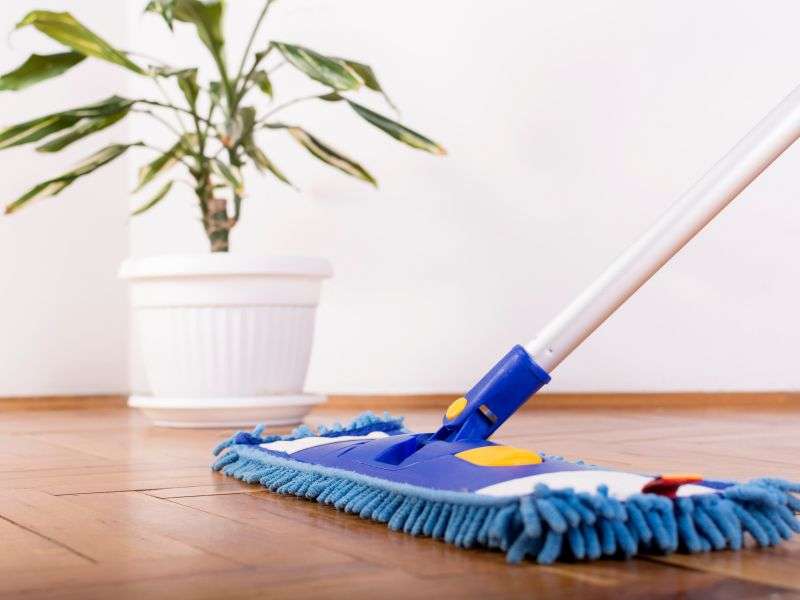 Regular Cleaning and Maintenance
