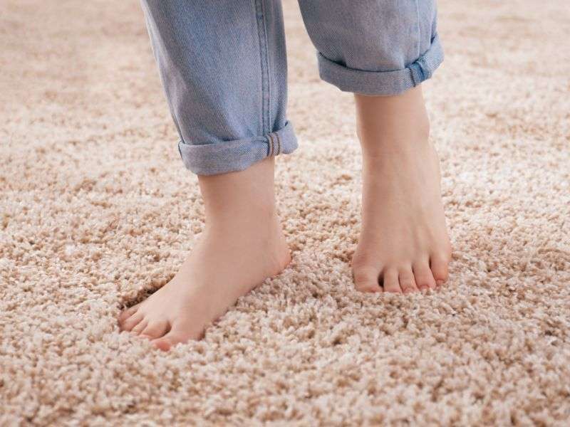 The Softness of Carpet