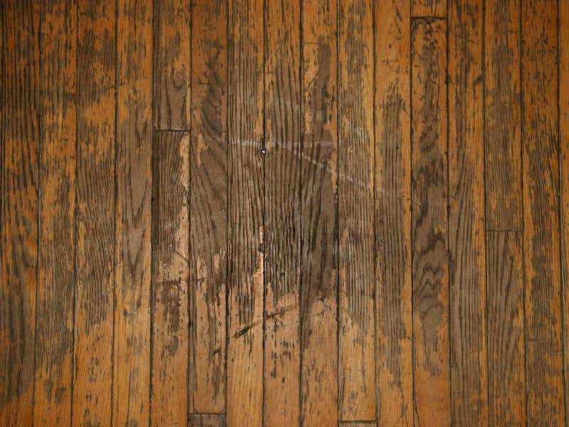 Why Are Hardwood Floors Prone to Scratches min